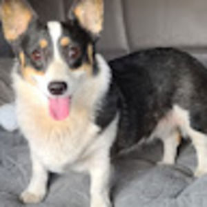 Meet your Posher, Lawrence